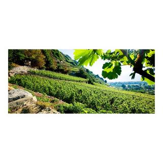 Chai du Baron 2023, Assemblage rouge Léon, Valais AOC  