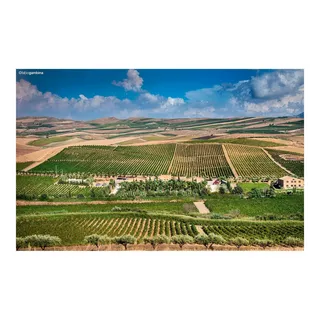 Donnafugata 2022, Anthilia Bianco, Sicilia DOC  
