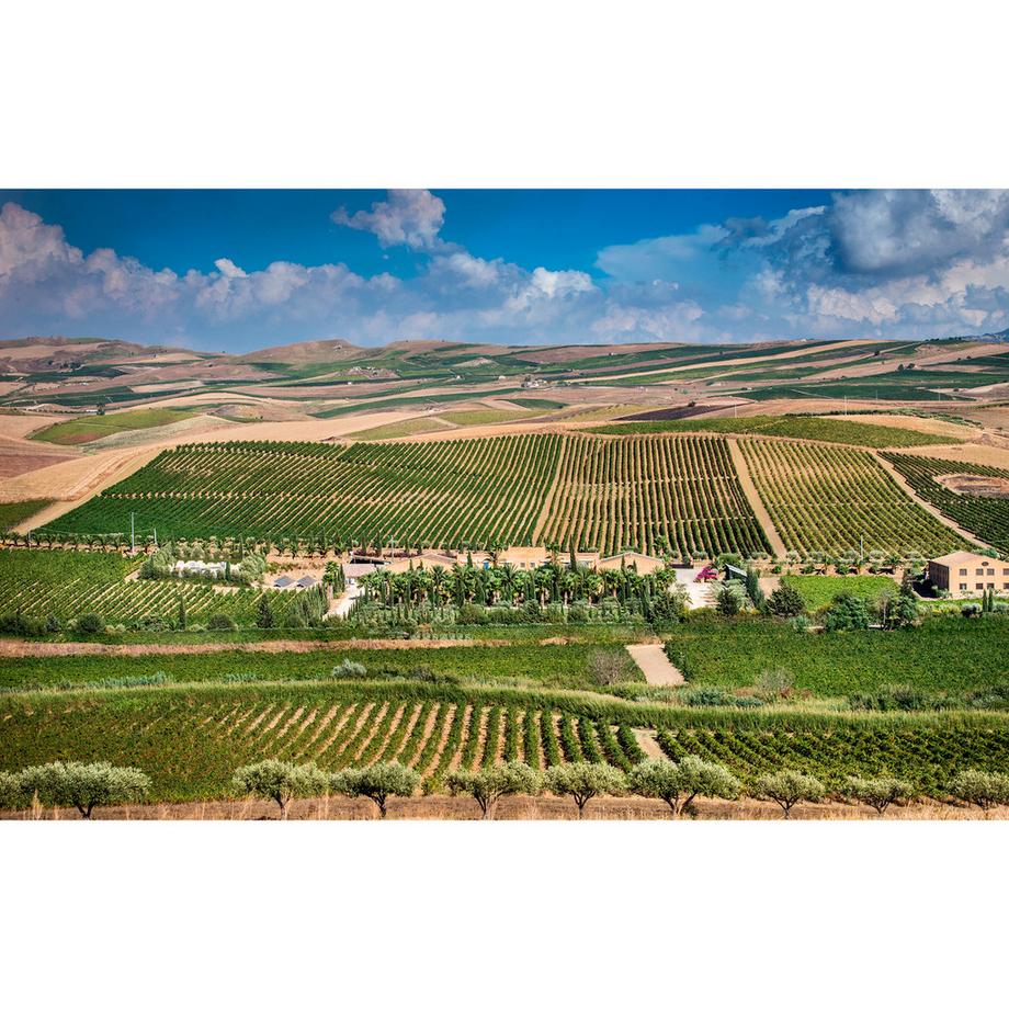 Donnafugata 2024, La Fuga, Contessa Entellina DOP  