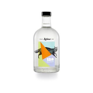 Bisbino Gin, organic wild  