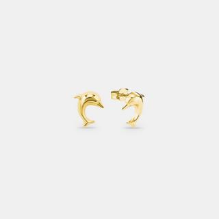 amor  G Ohrschmuck Stecker 