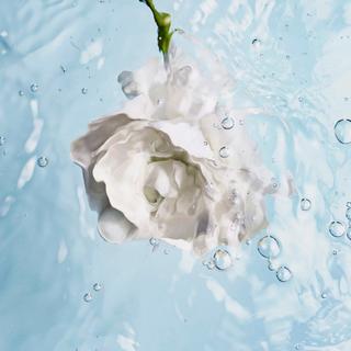 CHANEL HYDRA BEAUTY CAMELLIA WATER CREAM FLUIDE HYDRATANT ILLUMINATEUR 