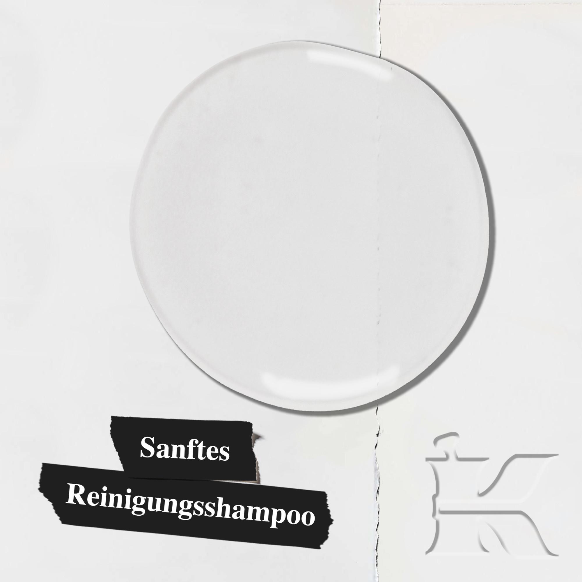 Kiehl's Amino Acid Amino Acid Shampoo 