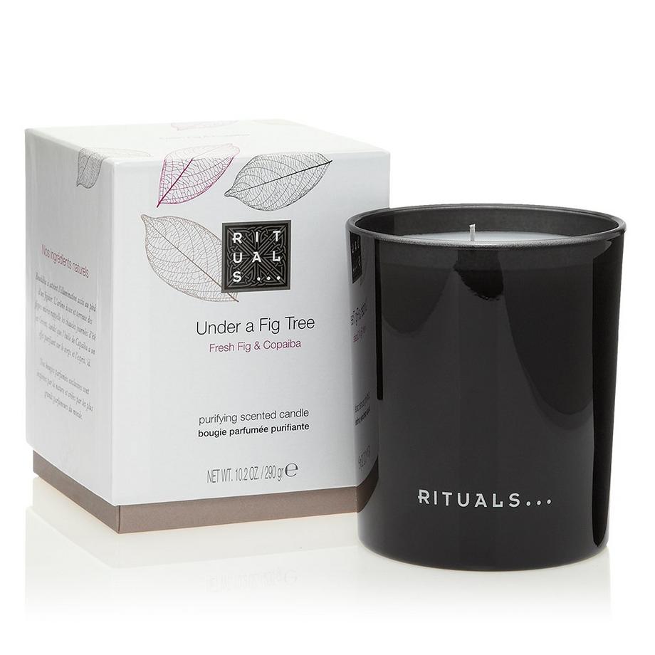 RITUALS  Under A Fig Tree Purifying Scented Candle 