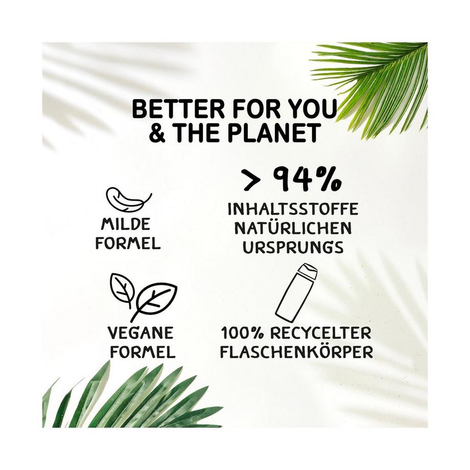 Fa Fiji dream FA SHOWER FIDJI 