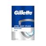 Gillette  Series Aftershave Splash 