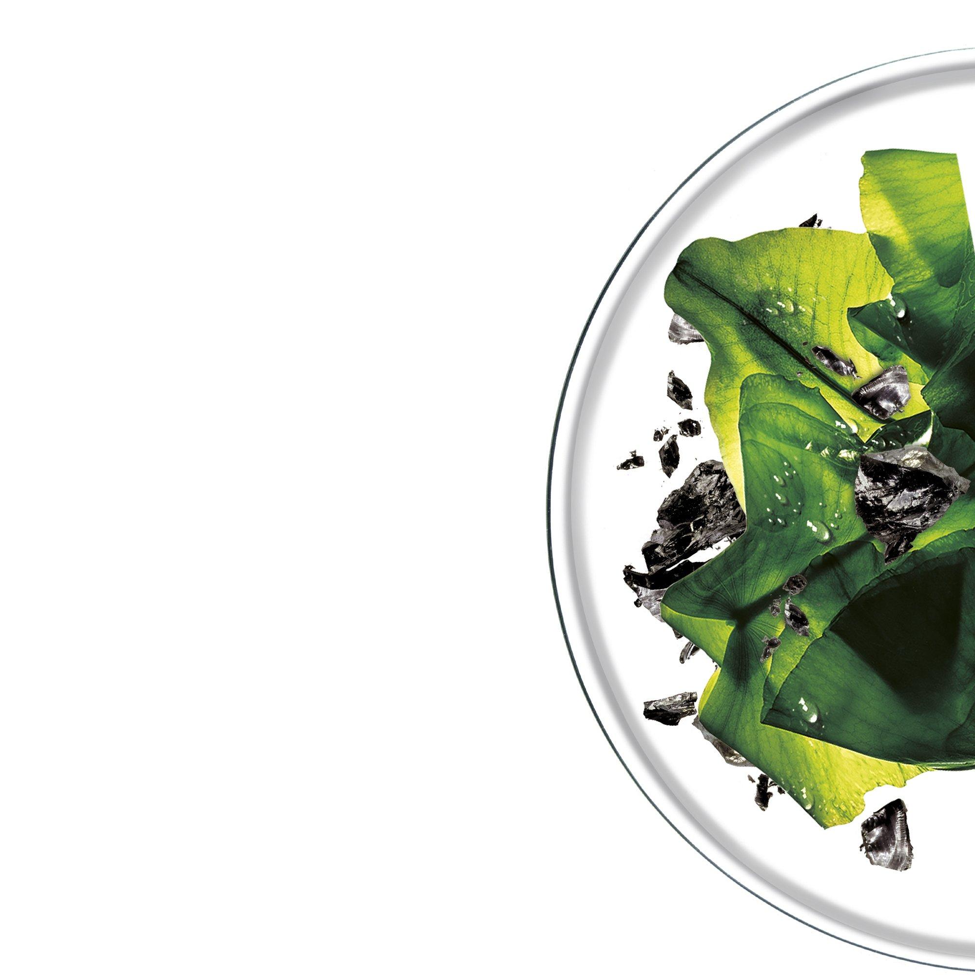 GARNIER Charcoal & algae CHARCOAL&ALGAE 