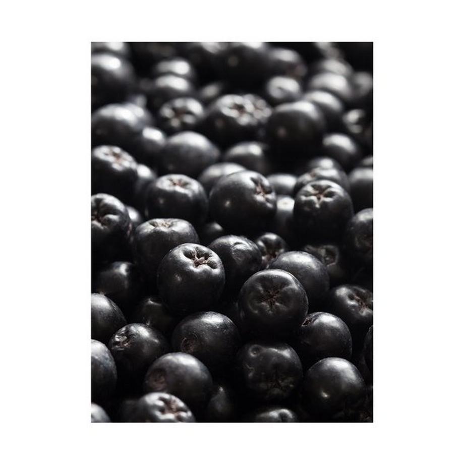 RAUSCH Fresh Volume Styling Lotion 