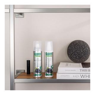 RAUSCH Fresh Volume Styling Lotion 