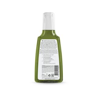 RAUSCH Quercia Marina  Shampoo Antisebo 