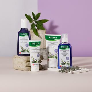 RAUSCH Sauge Shampooing Éclat Argenté 