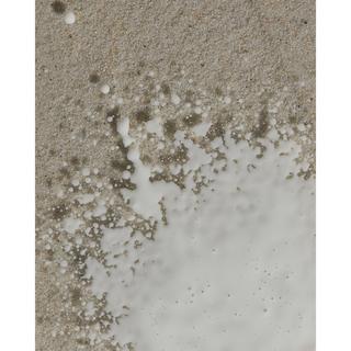 NIVEA SUN Sun Spray Protect&Moisture LSF 50+ Sun Protect & Moisture Sonnenspray LSF 50+ 