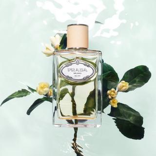 PRADA Infusion de Fleur d'Oranger Eau de Parfum  