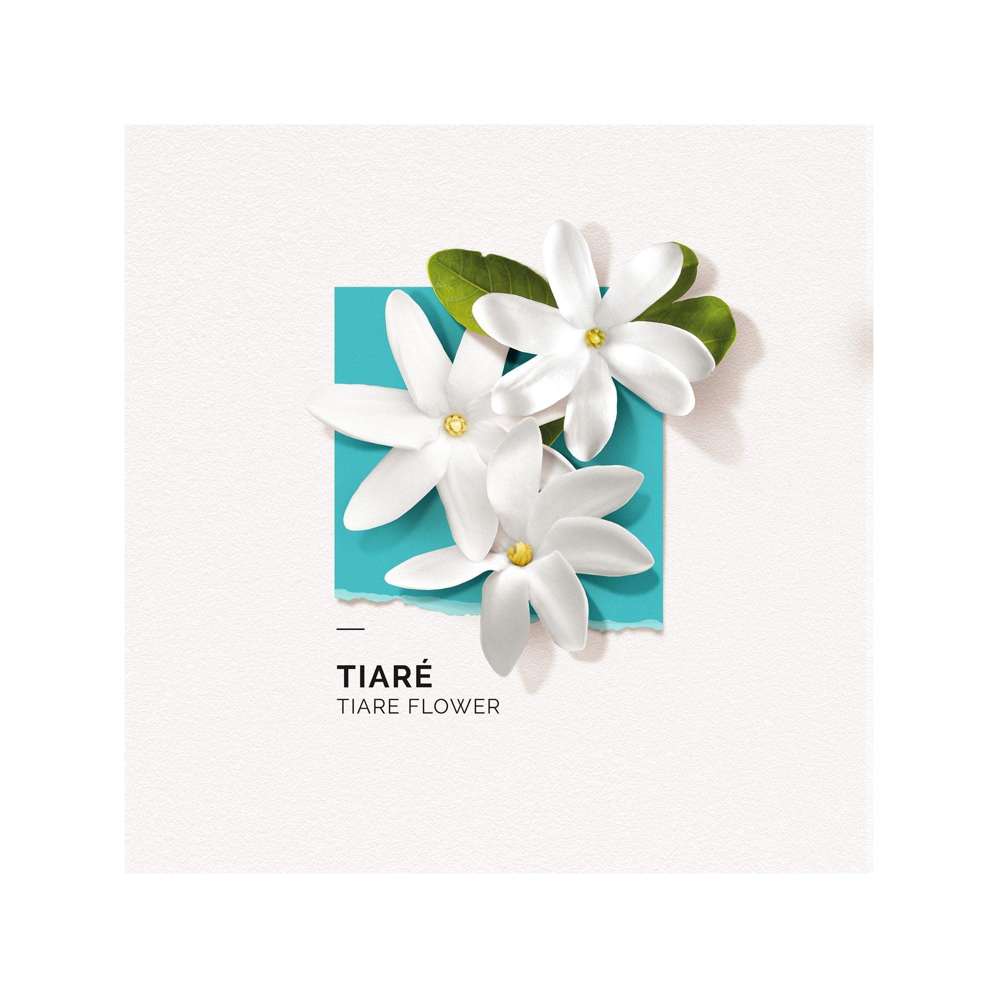 solinotes Tiare Tiaré Eau de Parfum 