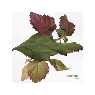 HERMÈS Eau des Merveilles Bleue, Eau de Toilette  