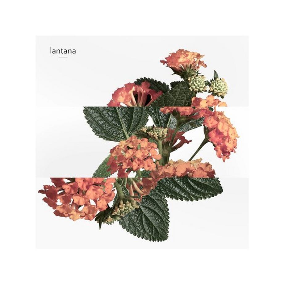 HERMÈS Eau de rhubarbe écarlate, Eau de Cologne  