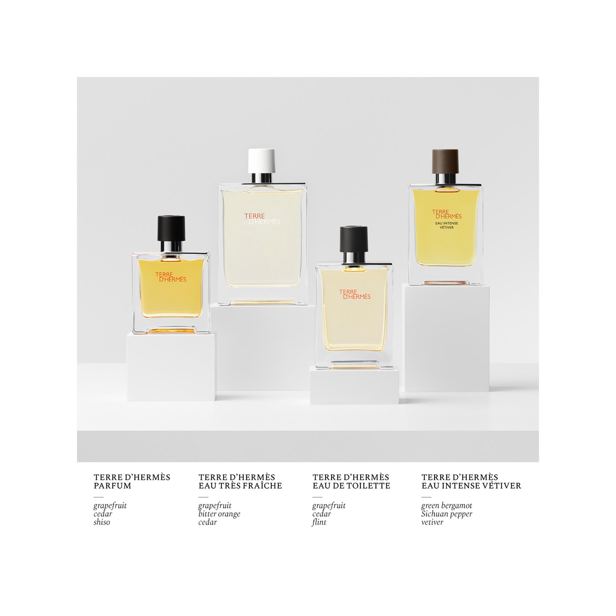 HERMÈS Terre d’Hermès Eau Intense Vétiver Eau de Parfum  