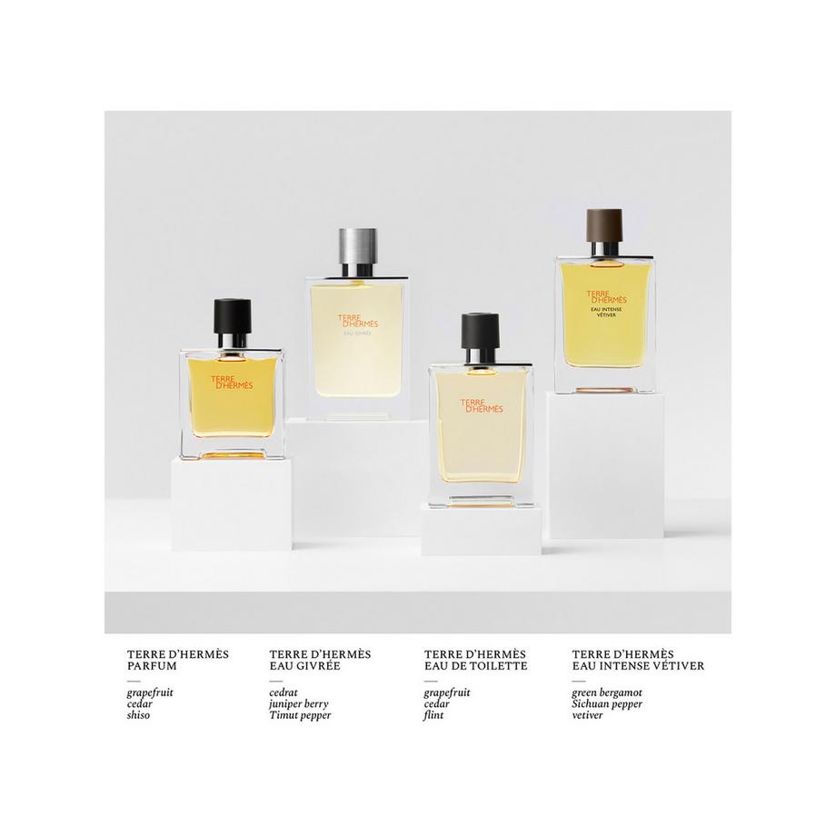 HERMÈS Terre d'Hermès, Eau de Toilette  
