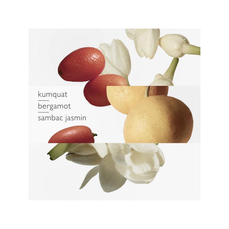 HERMÈS Le Jardin de Monsieur Li, Eau de Toilette  