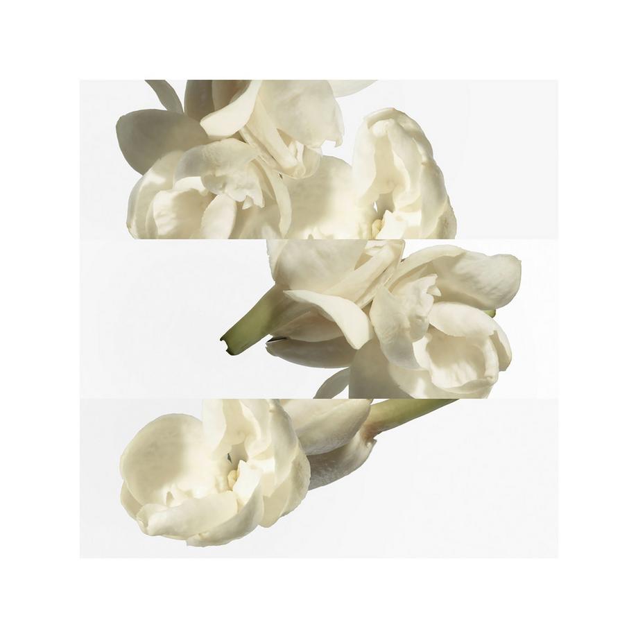 HERMÈS Le Jardin de Monsieur Li, Eau de Toilette  