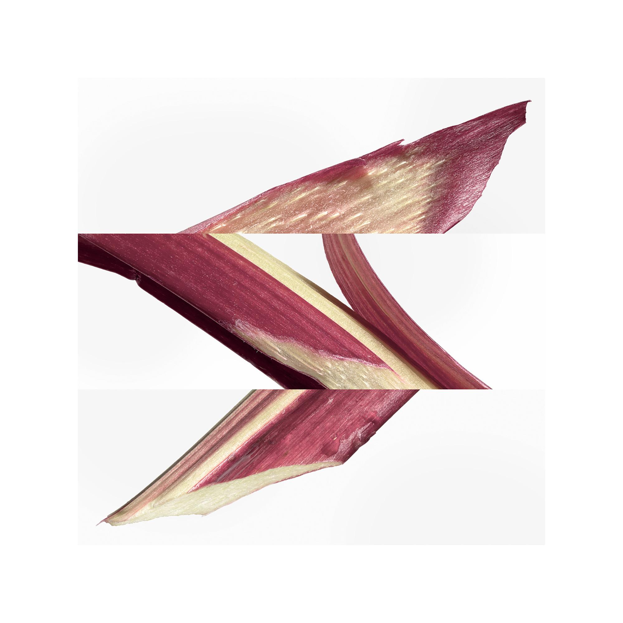 HERMÈS Eau de rhubarbe écarlate, Eau de Cologne  