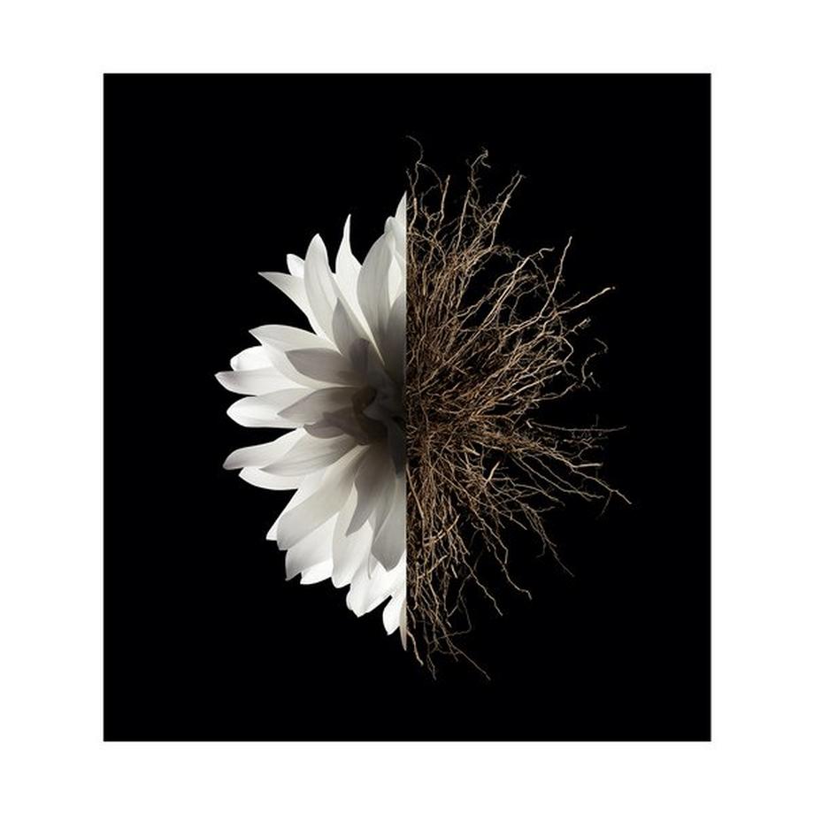 GIVENCHY L'Interdit, Eau de Parfum  