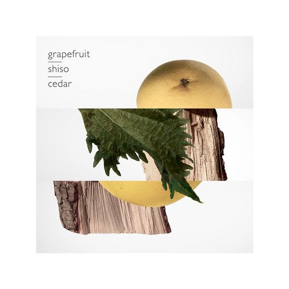 HERMÈS Terre d'Hermès, Parfum  