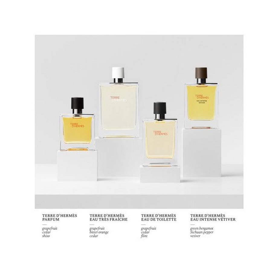 HERMÈS Terre d'Hermès, Parfum  