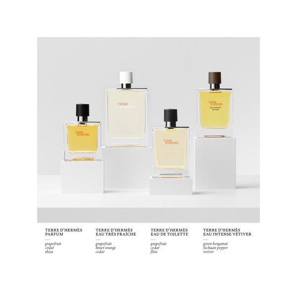 HERMÈS Terre d'Hermès, Eau de Toilette  