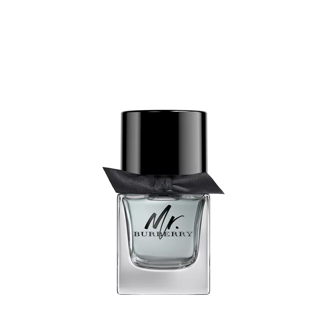 Burberry Mr. Burberry Eau de Toilette 50 ml 2