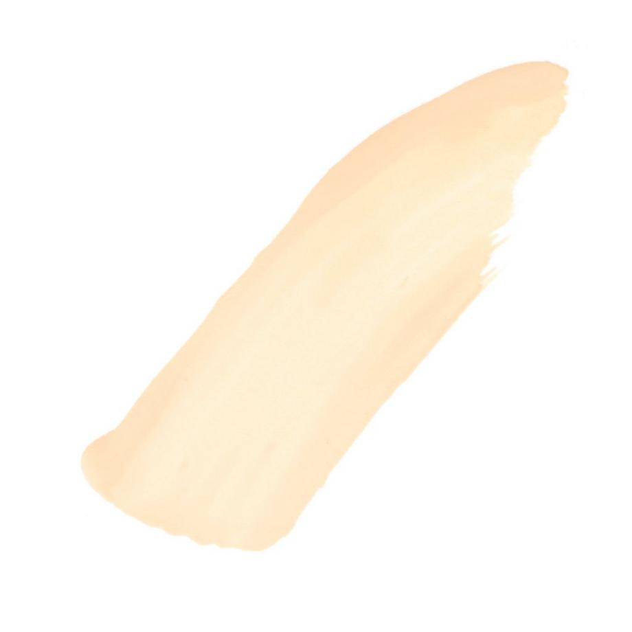 L'OREAL Perfect Match Perfect Match Concealer 