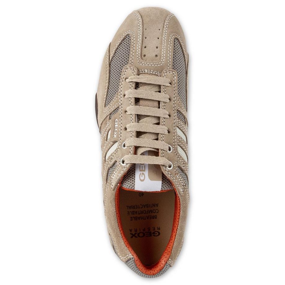 GEOX Snake Sneakers, basses 