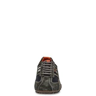 GEOX Snake Sneakers, Low Top 