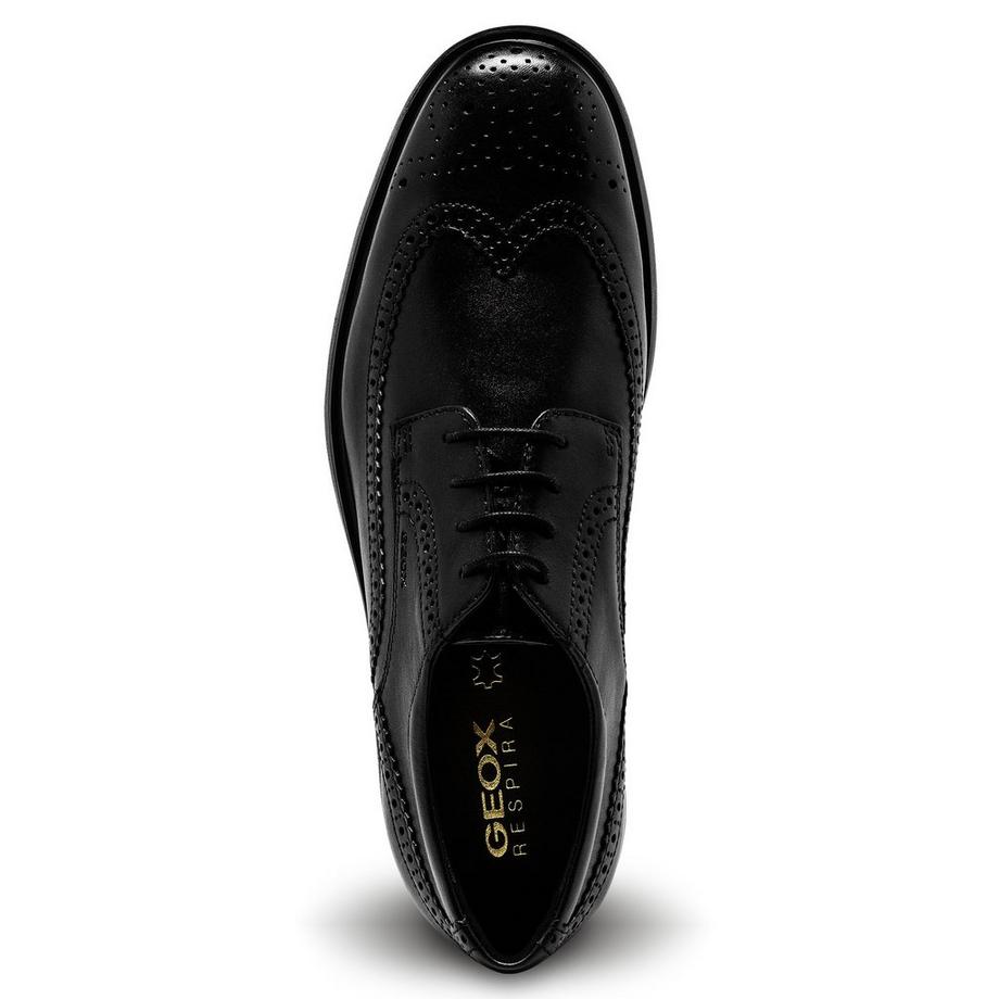 GEOX U Dublin
 Scarpe stringate 