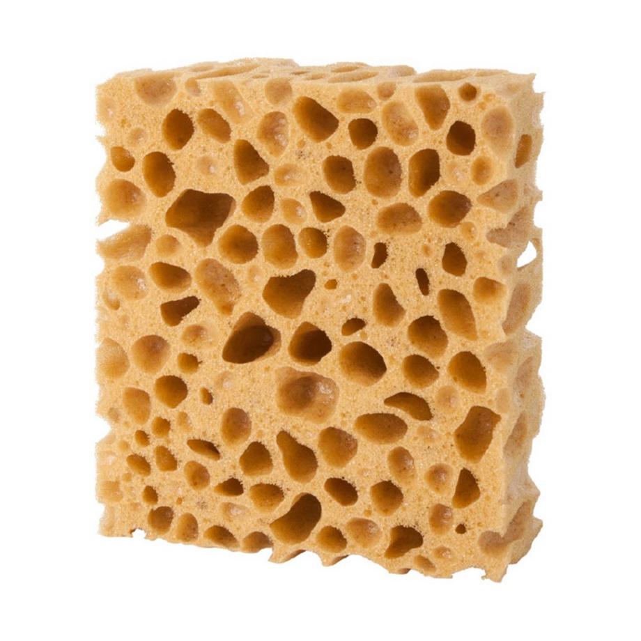 SHOEBOY'S Schwamm Schuhpolier Set 