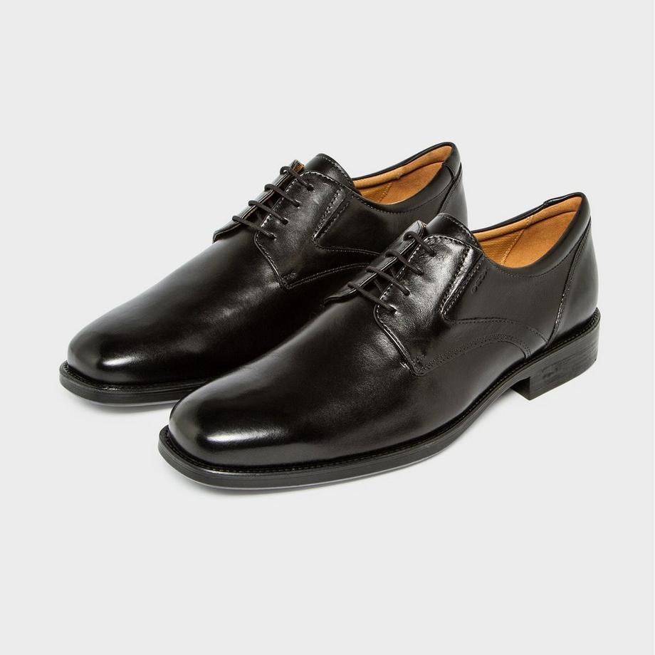 GEOX Uomo Federico Scarpe stringate 