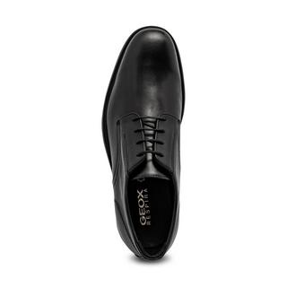 GEOX Dublin Schnürer 