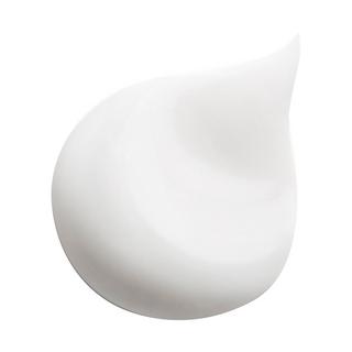 sisley Global Perfect Pore Minimizer  