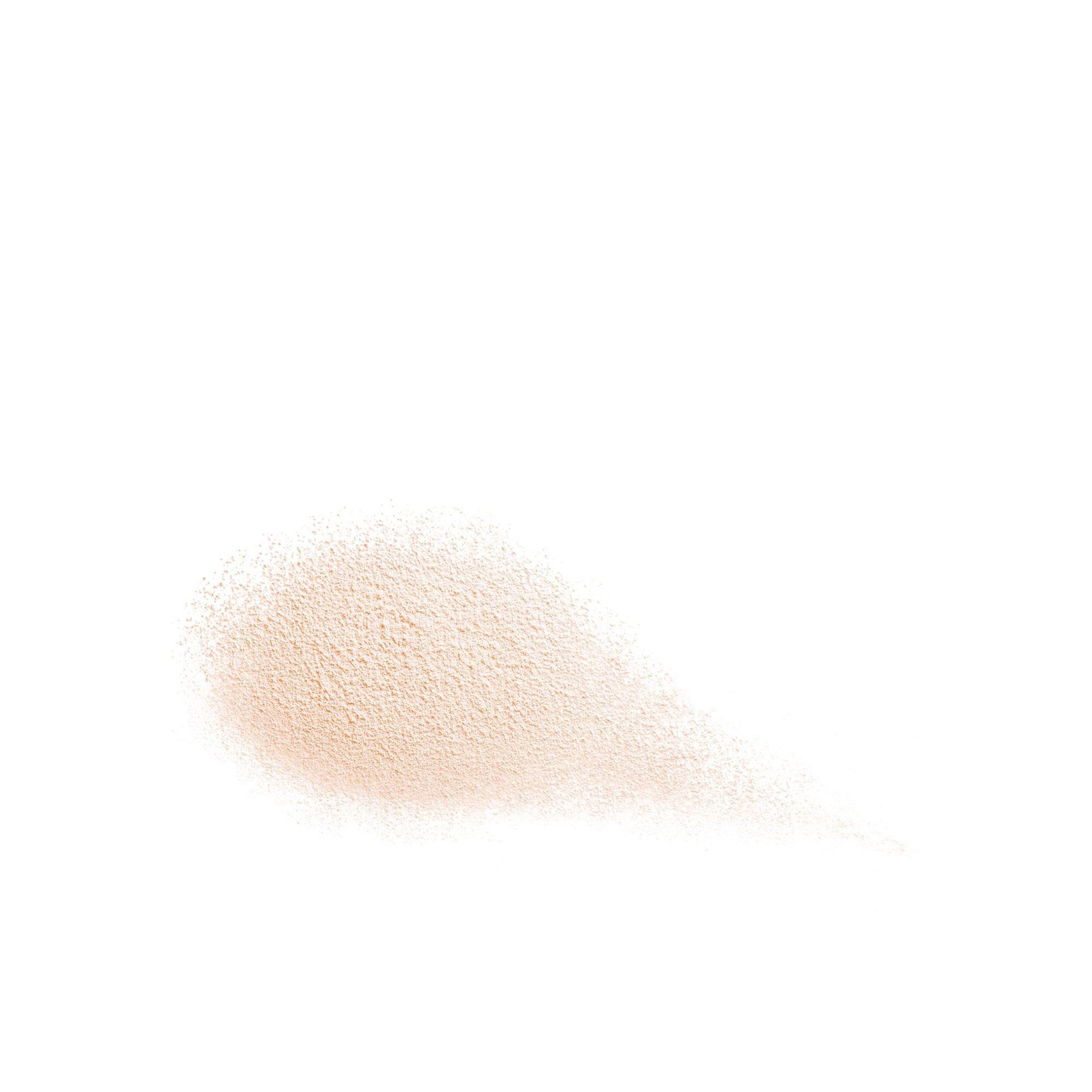 SHISEIDO Future Solution LOOSE POWDER 10G 