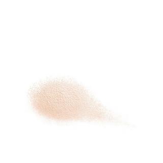 SHISEIDO Future Solution LOOSE POWDER 10G 