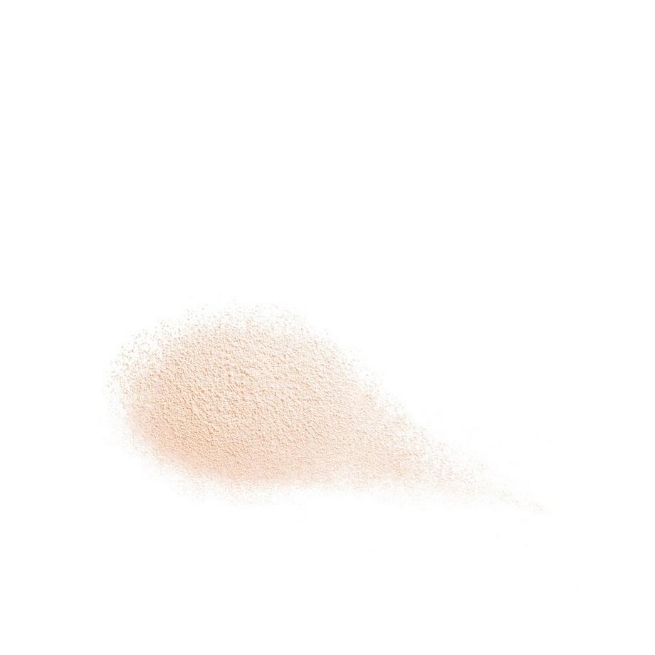 SHISEIDO Future Solution LOOSE POWDER 10G 