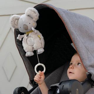 Fehn AUSTRALIA Spieluhr 