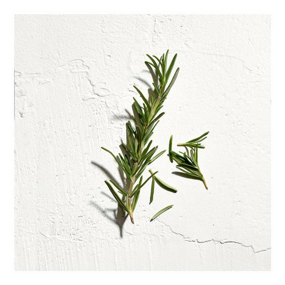 JIL SANDER Sun Men, Eau de Toilette Natural Spray  