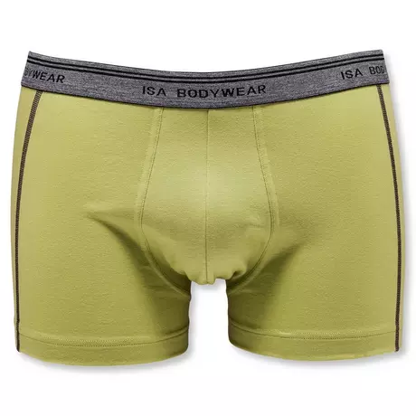 ISA bodywear Panty Andy  Chartreuse