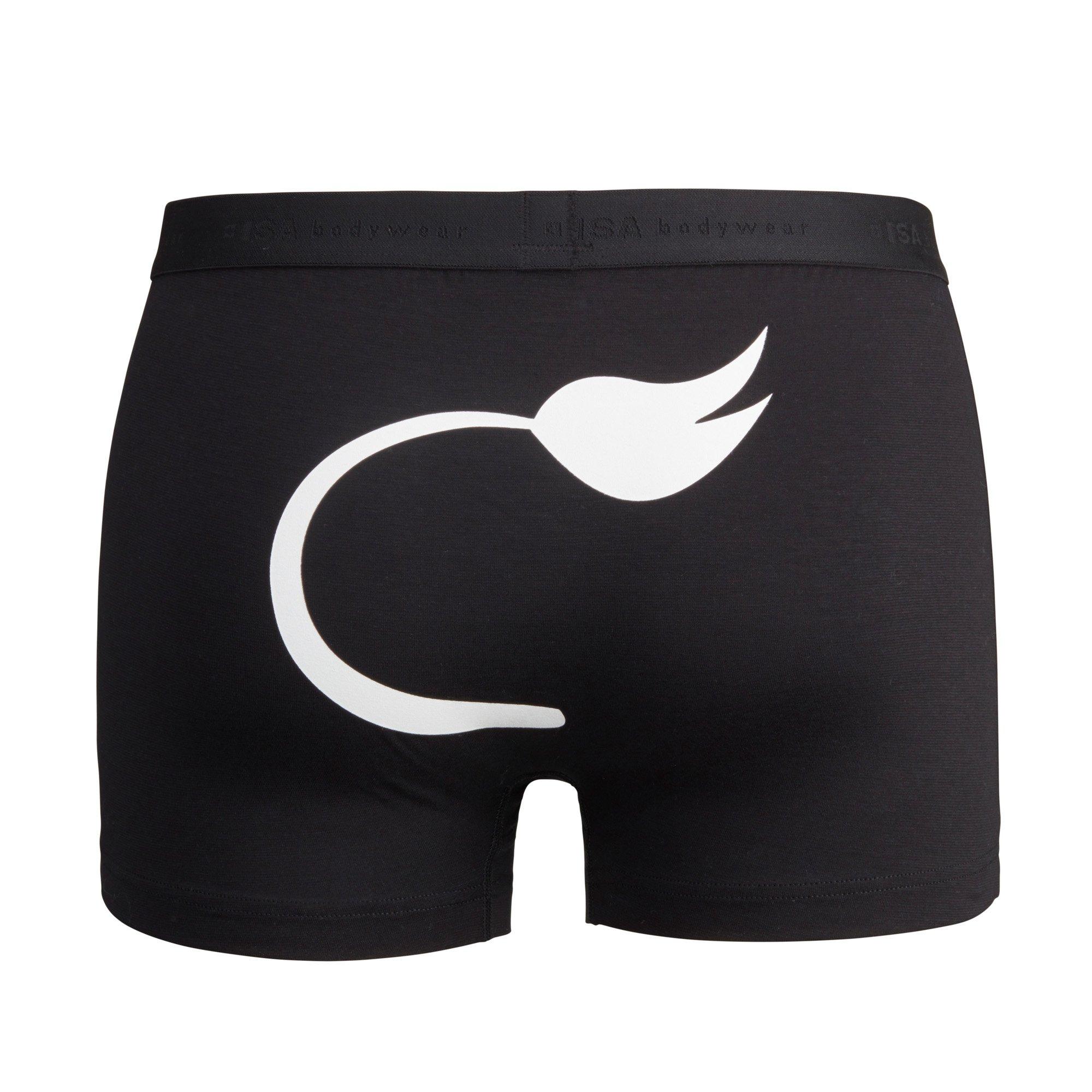 ISA bodywear Andy - Schwinger Kollektion Panty 