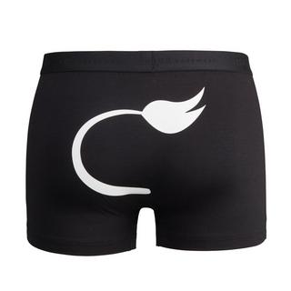 ISA bodywear Andy - Schwinger Kollektion Panty 