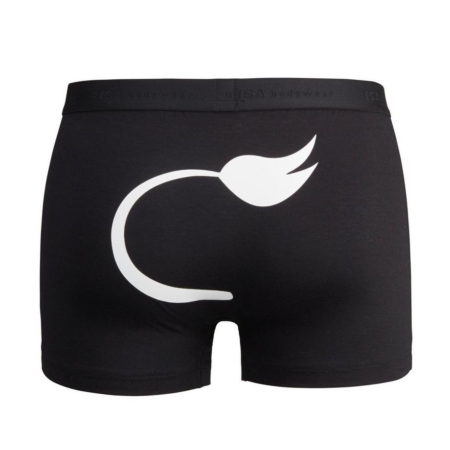 ISA bodywear Andy - Schwinger Kollektion Panty 