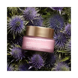 CLARINS 30+ MULTI-ACTIVE Multi Active Jour, Peaux Sèches 