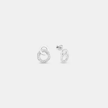 Clou d'oreilles