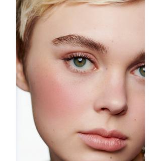 CHANEL JOUES CONTRASTE FARD À JOUES POUDRE 